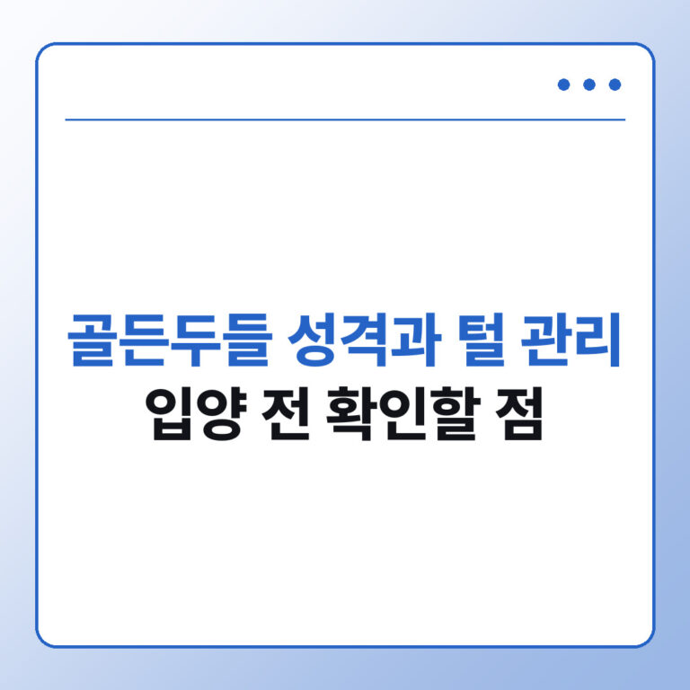 골든두들 성격과 털 관리 입양 전 확인할 점