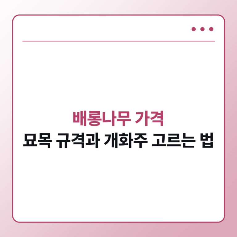 배롱나무 가격, 묘목 규격과 개화주 고르는 법
