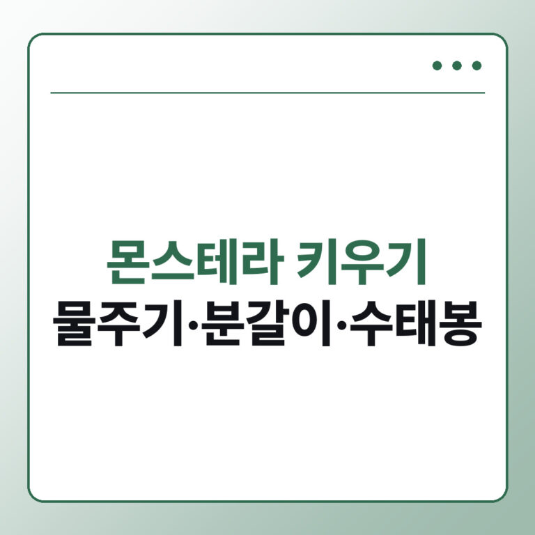 몬스테라 키우기 물주기부터 분갈이·가지치기·수태봉까지
