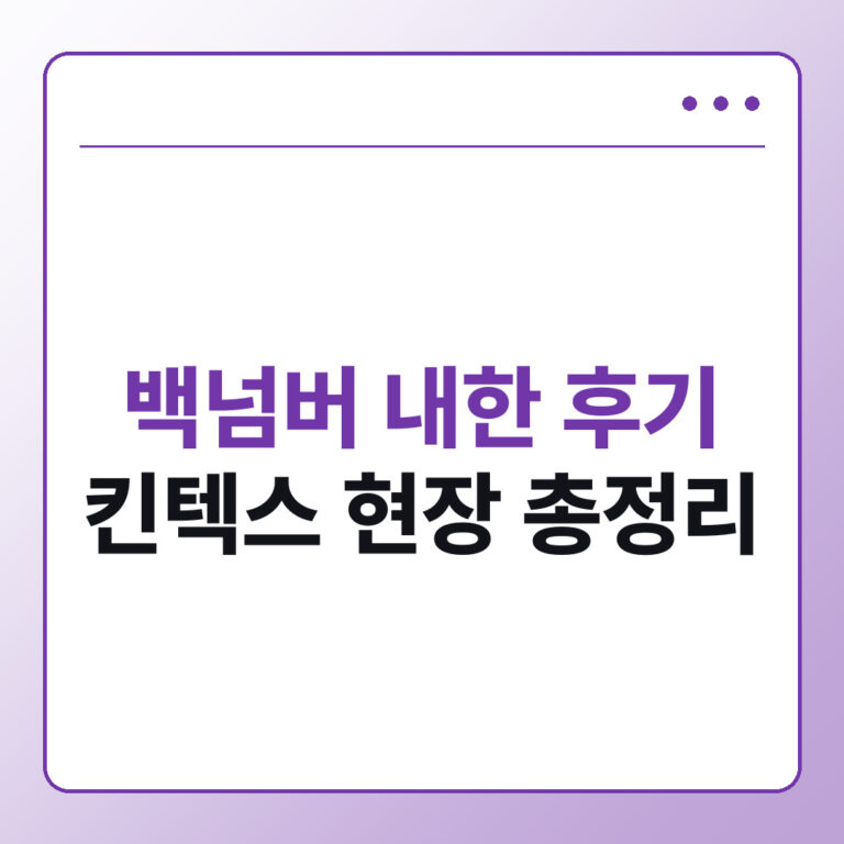 백넘버 내한 후기 킨텍스 공연 시간과 셋리스트 총정리